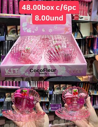 Gloss concha