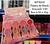 Paleta de blush